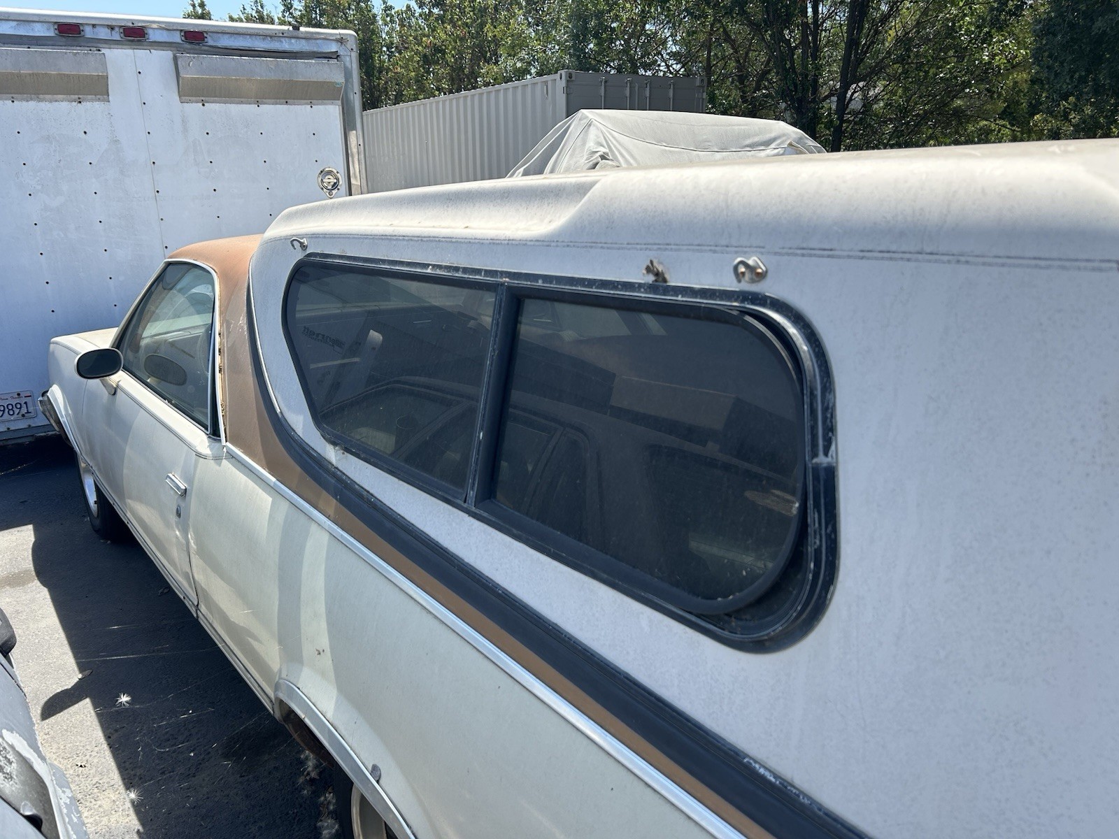 GMC-Caballero-1986-Standard-Cab-Pickup-4