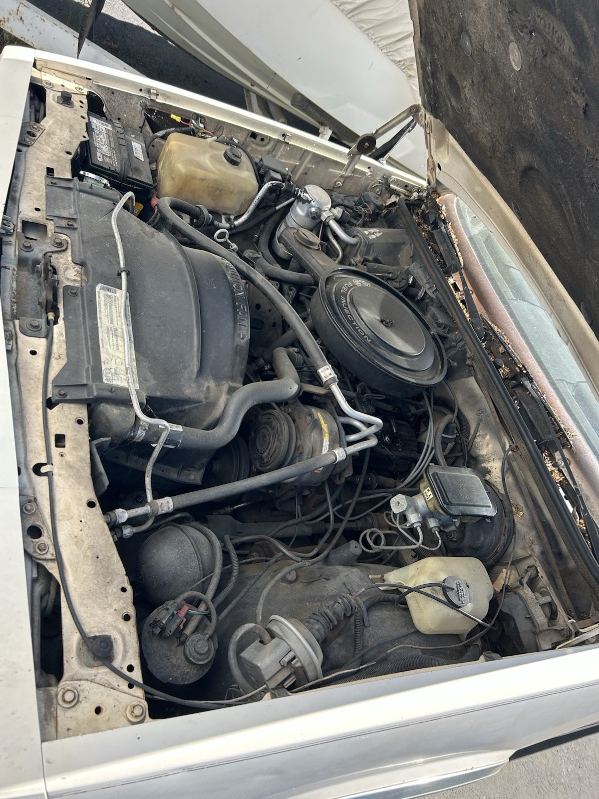 GMC-Caballero-1986-Standard-Cab-Pickup-8