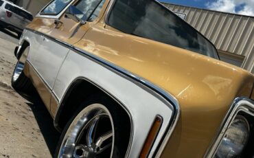 GMC-Jimmy-1979-SUV-4