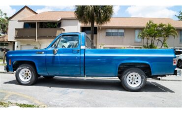 Gmc-1500-1976-Blue-Blue-10