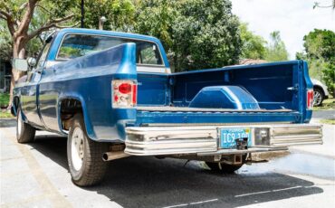 Gmc-1500-1976-Blue-Blue-12