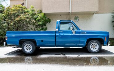 Gmc-1500-1976-Blue-Blue-16