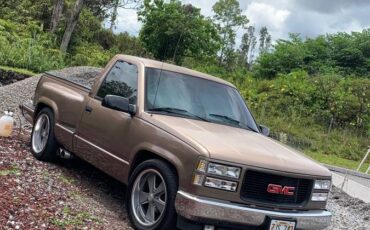 Gmc-C1500-sport-side-short-bed-1994-brown-5