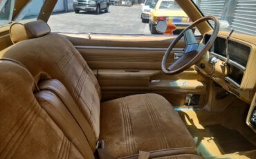 Gmc-Caballero-1979-CopperCream-Tan-8