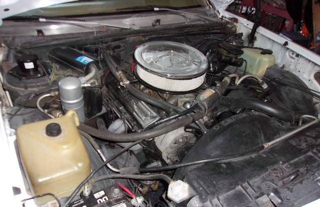 Gmc-Caballero-1980-White-5