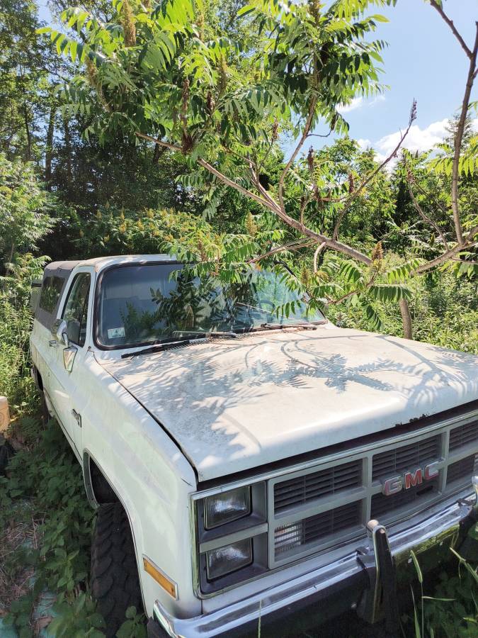 Gmc-Jimmy-1983-white-1