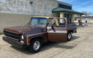 Gmc-Other-1978-Brown