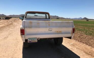 Gmc-Pickup-1976-3