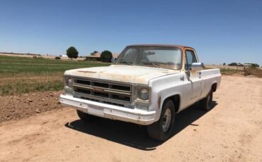 Gmc-Pickup-1976-6