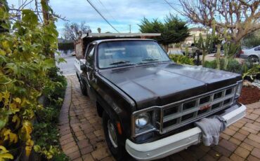 Gmc-Pickup-1977-3