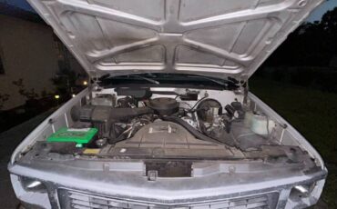 Gmc-Sierra-12-ton-nominal-1994-grey-6