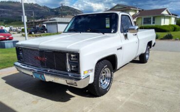 Gmc-Sierra-1500-1981-White-Black-23