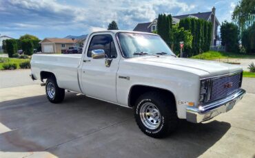 Gmc-Sierra-1500-1981-White-Black-5