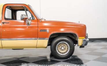 Gmc-Sierra-1500-1983-Light-Bronze-Mahogany-23