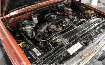 Gmc-Sierra-1500-1983-Light-Bronze-Mahogany-35