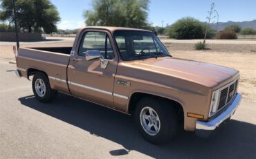 Gmc-Sierra-1500-1985-Metallic-Fawn-Brown-Medium-Prairie-Tan-D-10