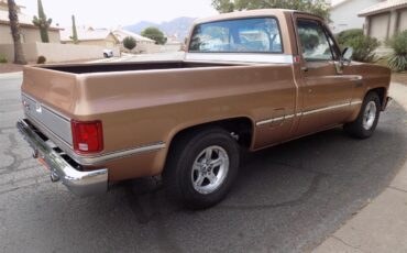Gmc-Sierra-1500-1985-Metallic-Fawn-Brown-Medium-Prairie-Tan-D-12