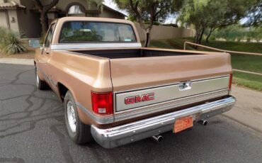 Gmc-Sierra-1500-1985-Metallic-Fawn-Brown-Medium-Prairie-Tan-D-16