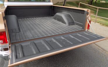 Gmc-Sierra-1500-1985-Metallic-Fawn-Brown-Medium-Prairie-Tan-D-17