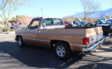 Gmc-Sierra-1500-1985-Metallic-Fawn-Brown-Medium-Prairie-Tan-D-19