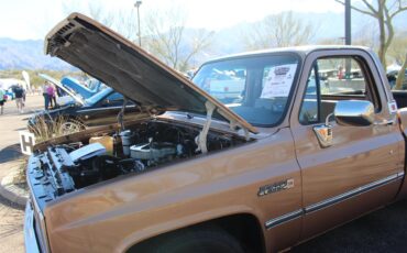 Gmc-Sierra-1500-1985-Metallic-Fawn-Brown-Medium-Prairie-Tan-D-2