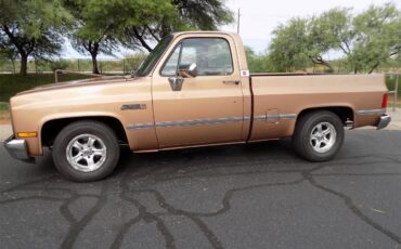 Gmc-Sierra-1500-1985-Metallic-Fawn-Brown-Medium-Prairie-Tan-D-20