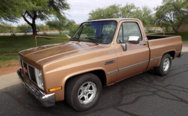 Gmc-Sierra-1500-1985-Metallic-Fawn-Brown-Medium-Prairie-Tan-D
