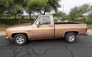 Gmc-Sierra-1500-1985-Metallic-Fawn-Brown-Medium-Prairie-Tan-D-4