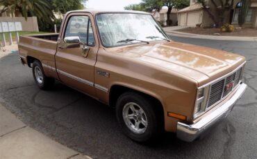 Gmc-Sierra-1500-1985-Metallic-Fawn-Brown-Medium-Prairie-Tan-D-8