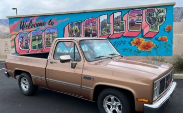 Gmc-Sierra-1500-1985-Metallic-Fawn-Brown-Medium-Prairie-Tan-D-9