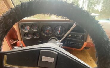 Gmc-Sierra-1976-Brown-11