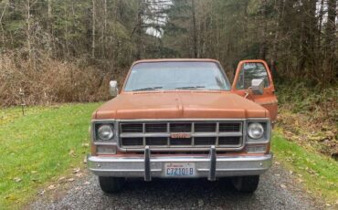 Gmc-Sierra-1976-Brown-13
