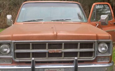Gmc-Sierra-1976-Brown-14