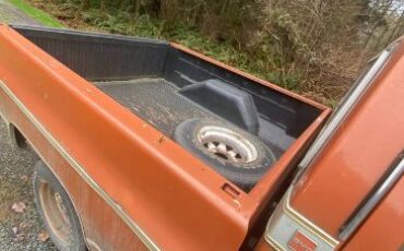 Gmc-Sierra-1976-Brown-7