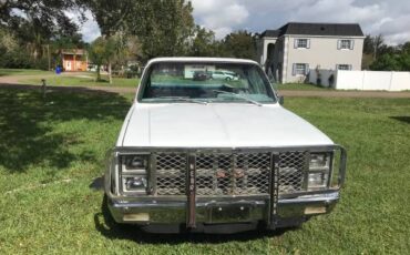 Gmc-Sierra-1981-White-2