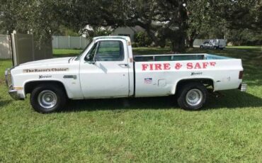 Gmc-Sierra-1981-White