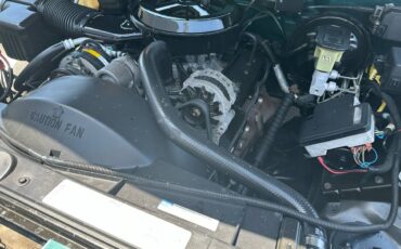 Gmc-sierra-1500-1995-green-6