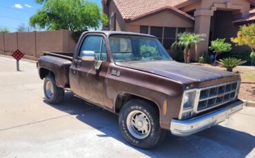 Gmc-sierra-1979-brown-1