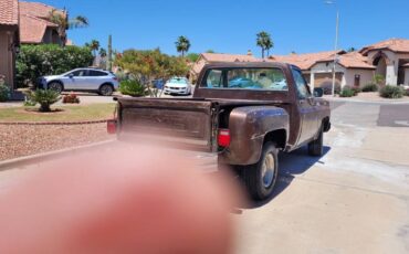 Gmc-sierra-1979-brown-2