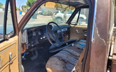 Gmc-sierra-1979-brown-3