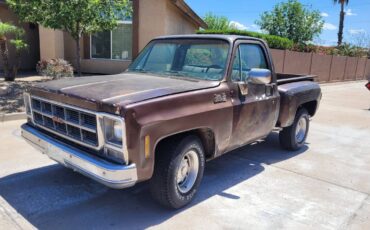 Gmc-sierra-1979-brown