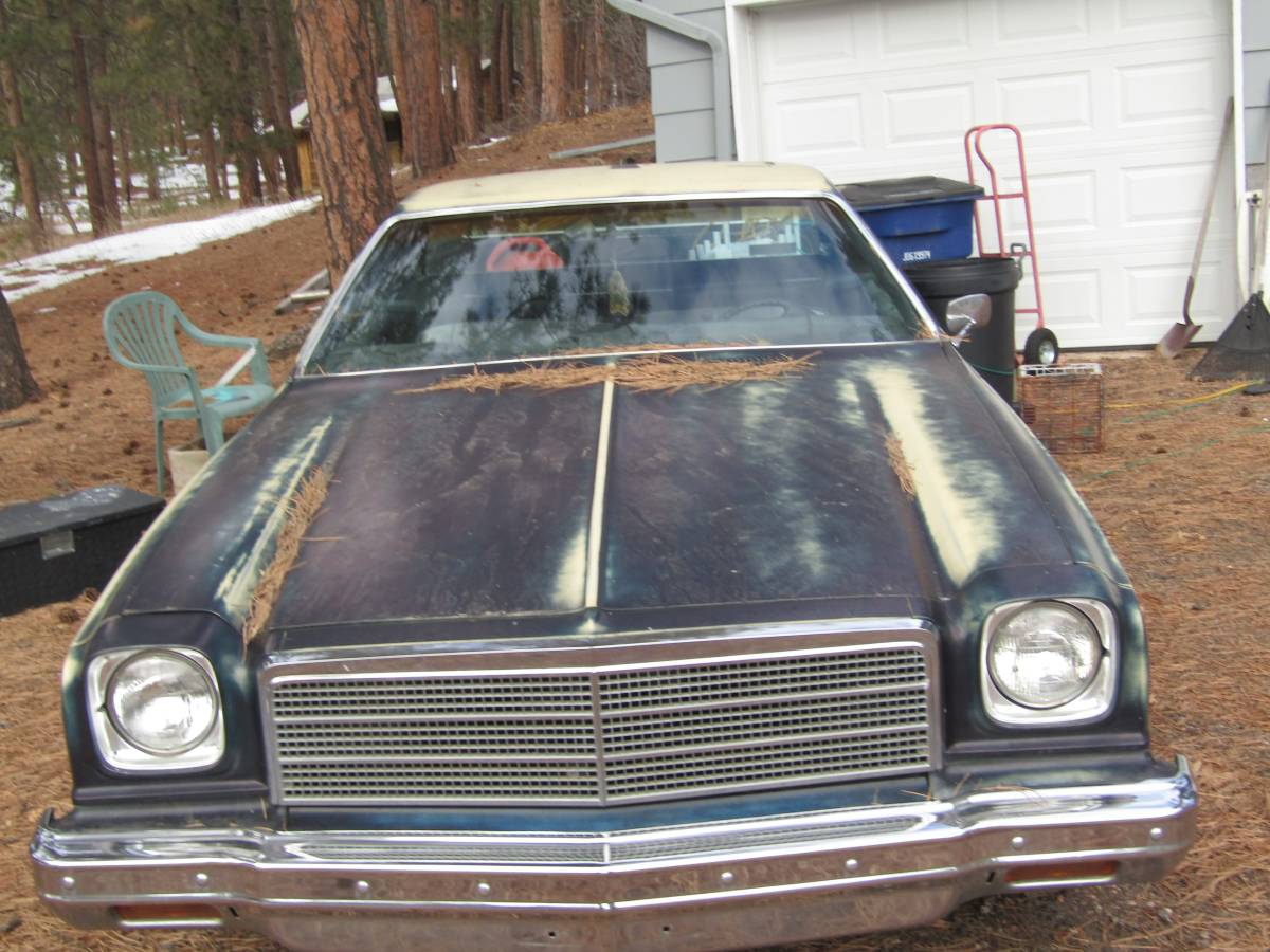 Gmc-sprint-1974-green-1