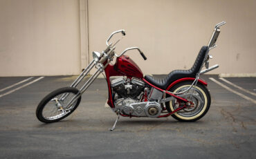 Harley-Davidson-FL-Panhead-1957-Motorcycle-2