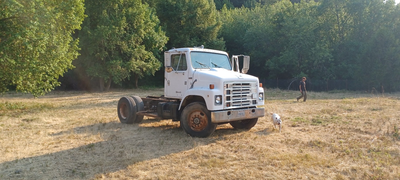 International-Harvester-S2300-1983-1
