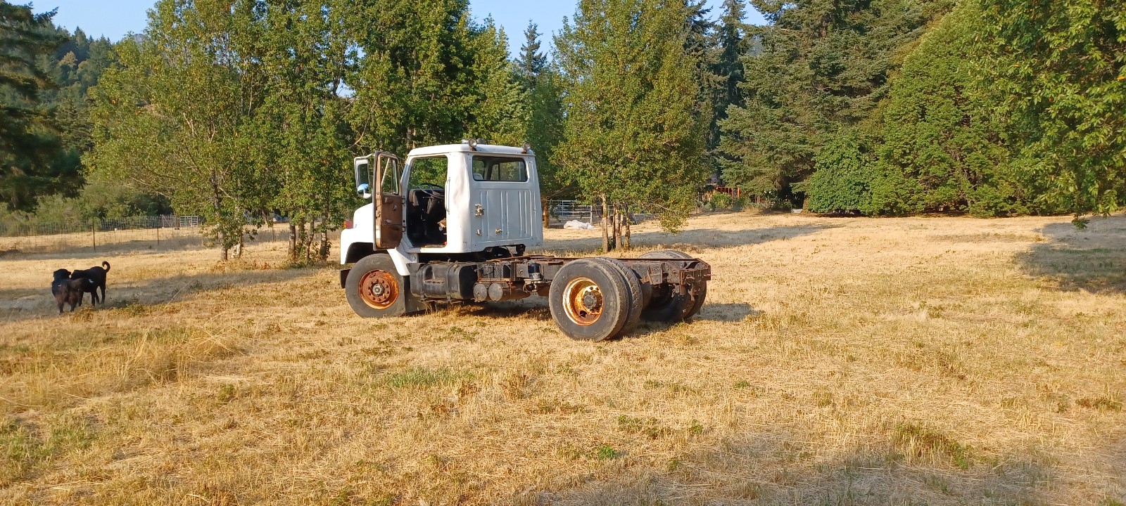 International-Harvester-S2300-1983-2