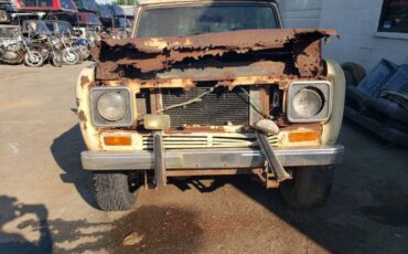 International-Scout-1979-Tan-Brown-5