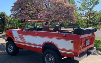 International Scout II 1979 SUV