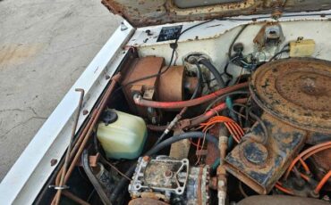 International-Scout-ii-1976-White-Blue-9