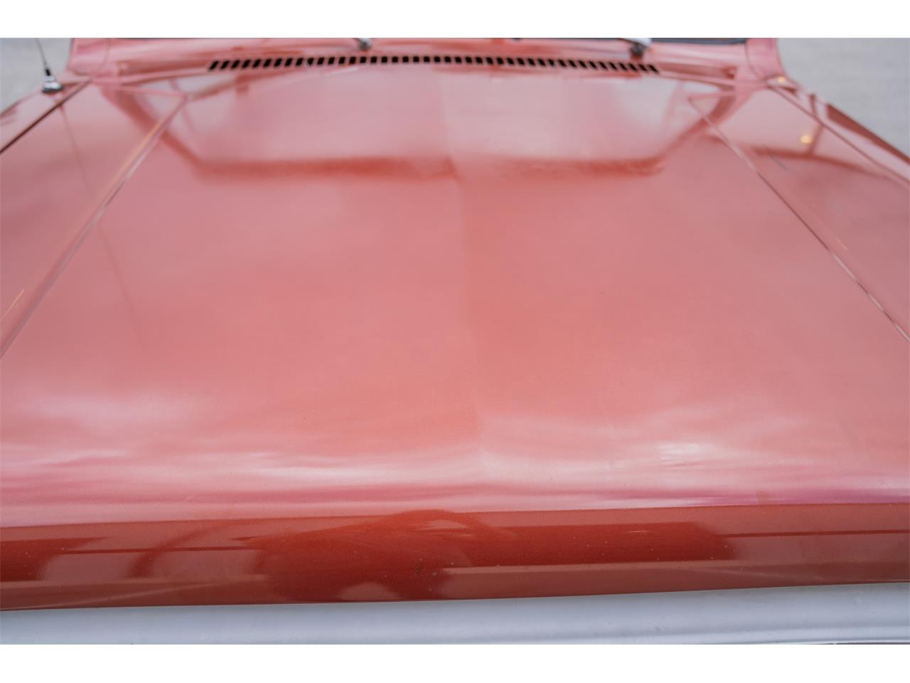 International-harvester-Scout-ii-1980-Tahitian-Red-Russet-Velour-14