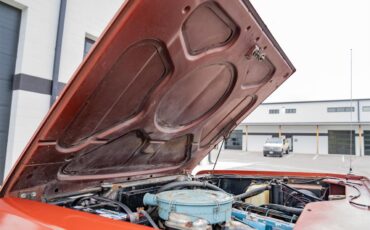 International-harvester-Scout-ii-1980-Tahitian-Red-Russet-Velour-86